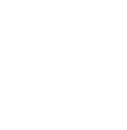Connectus Group Limited logo