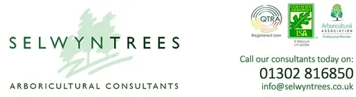 Selwyn Trees logo