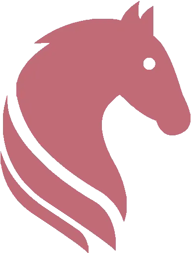 Racing Partners logo