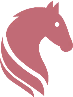 Racing Partners logo