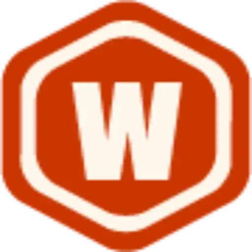 Digizu logo
