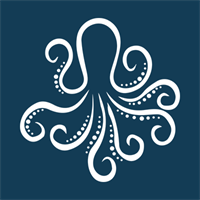 Juggling Octopus Business Support logo